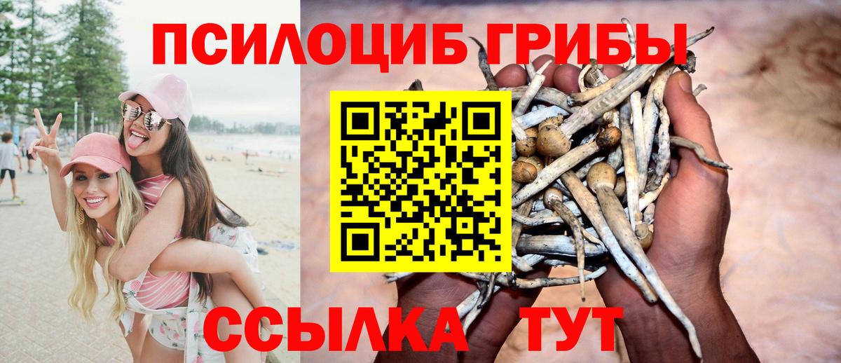 Минеральные Воды  Галлюциногенные грибы мухоморы  Вход с VPN 