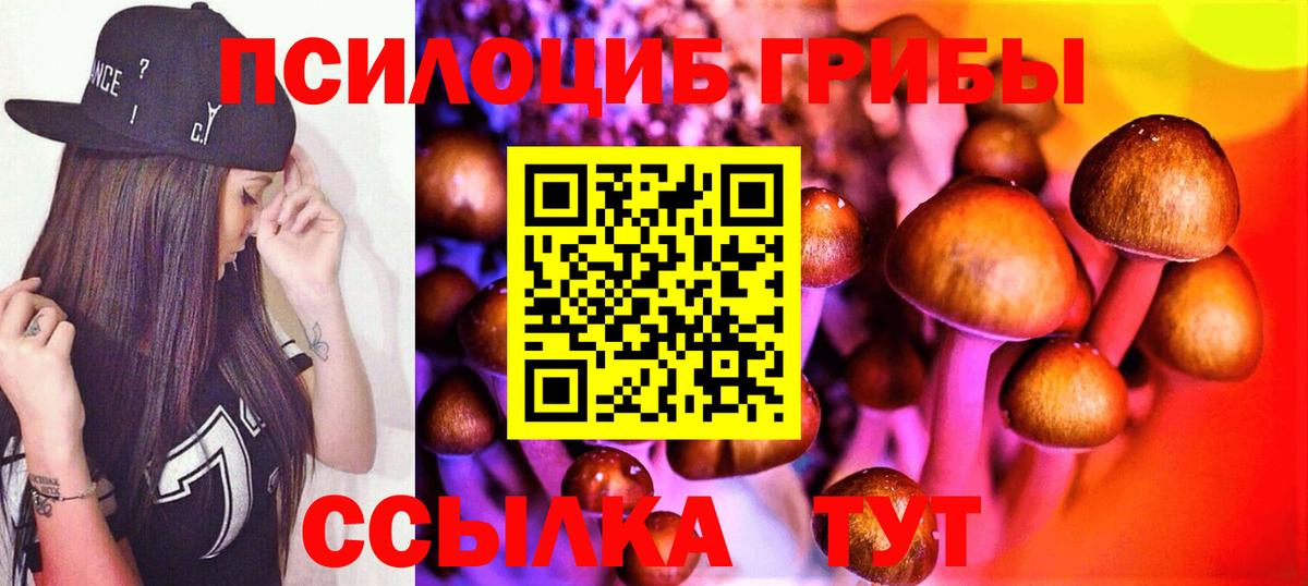 Псилоцибиновые грибы Magic Shrooms Минеральные Воды